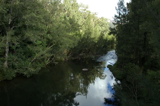 dsc_0560.jpg
