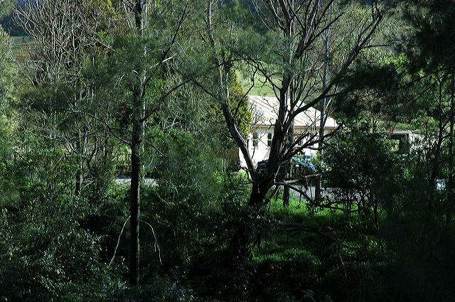 dsc_0562.jpg