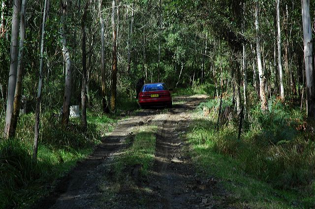 dsc_0563.jpg