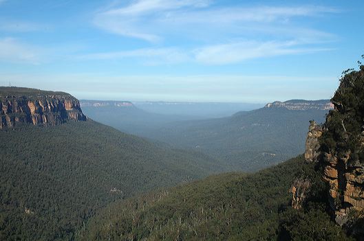 dsc_0463.jpg