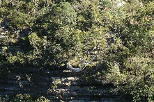 dsc_0498.jpg